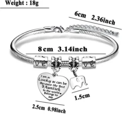 BHXRODE Aunt Bracelet Appreciation Birthday Christmas Gift Women Bangle Family Jewellery Engraved Best Auntie In The World 10 BHXRODE Aunt Bracelet Appreciation Birthday Christmas Gift Women Bangle Family Jewellery Engraved Best Auntie In The World -J Crew Favour 6 100