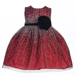 Crayon Kids Baby Girls Red Velvet Flower Sash Sequin Christmas Dress 24M